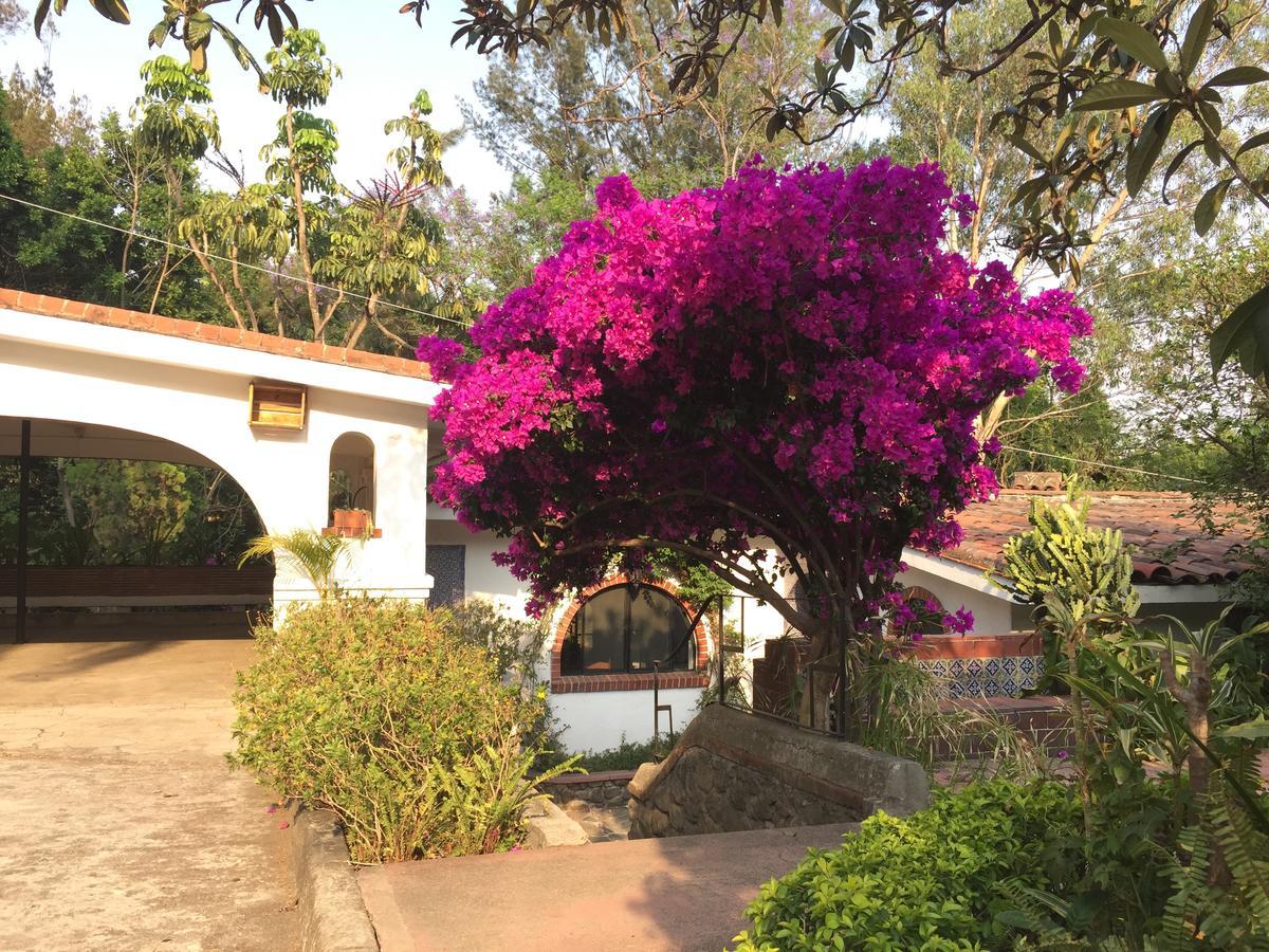 Villas Bellavista Cuernavaca Exterior photo